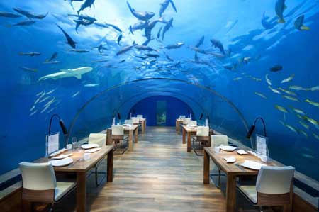 رستورانی در زیر یک اکواریوم در مالدیو