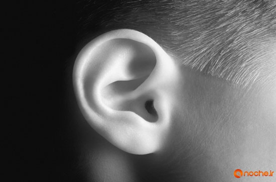 چرا گوش انسان‌ها تا پایان عمرشان رشد می‌کند؟!