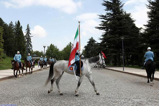 ماجرای اسب ها در استقبال از اردوغان +عکس