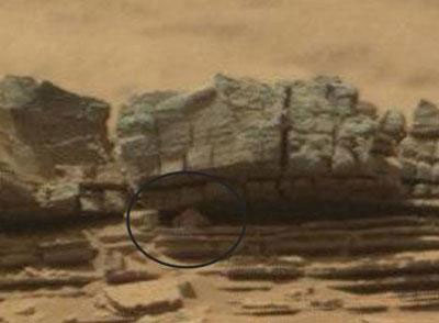 کشف خرچنگ در مریخ+تصاویر