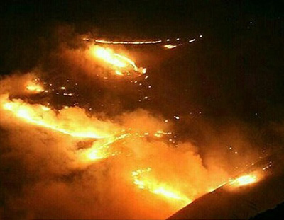 اخبار,اخبارحوادث,آتش سوزی درپارک جنگلی سنندج