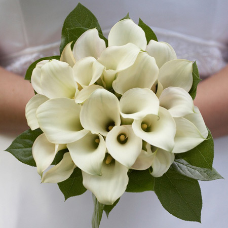 عکس دسته گل عروس,عکس انواع دسته گل عروس,مدل دسته گل عروس
