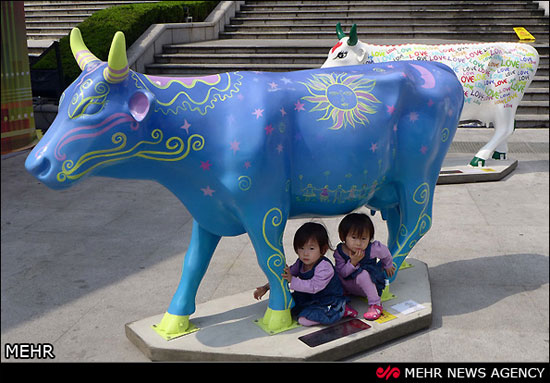 نمایشگاهی هنری با موضوع گاو در چین‎
