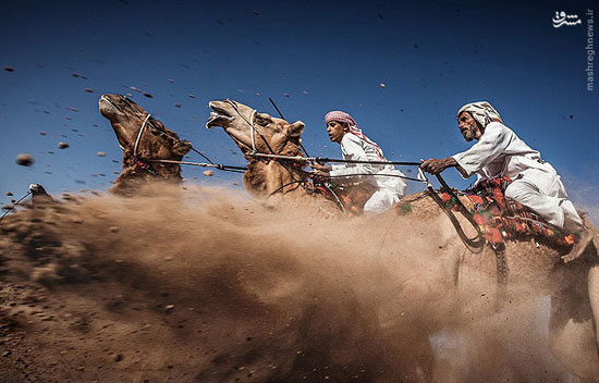 برندگان مسابقه عکاسی در سفر نشنال‌جئوگرافی