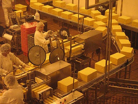 کارخانه تولید پنیر در اورگن، آمریکا