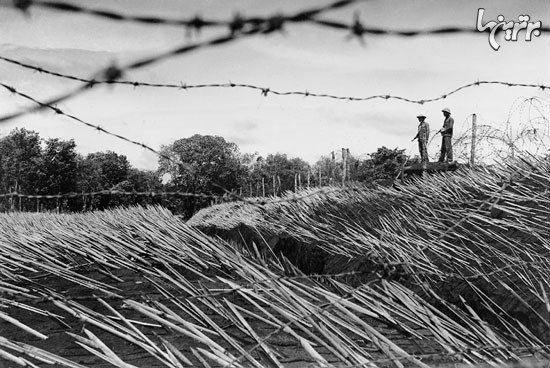 عکس های دیده نشده از جنگ ویتنام