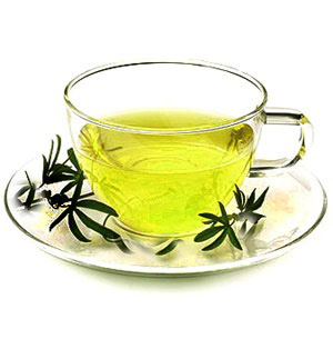 چای سبز و لاغری,چای سبز,خواص چای سبز