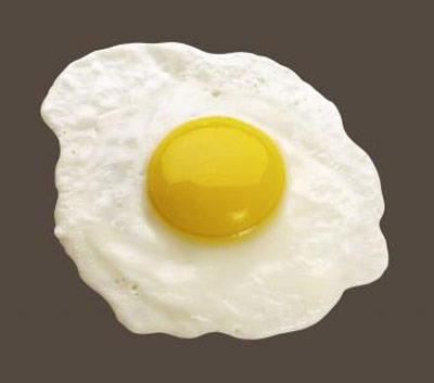 خاصیت سفیده تخم مرغ,خواص داروئی سفیده تخم مرغ