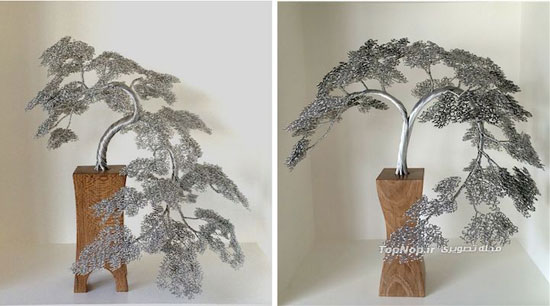 ساخت مجسمه هایی دقیق و زیبا از درختان با سیم