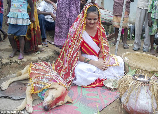ازدواج عجیب دختر ۱۸ ساله هندی با یک سگ + عکس
