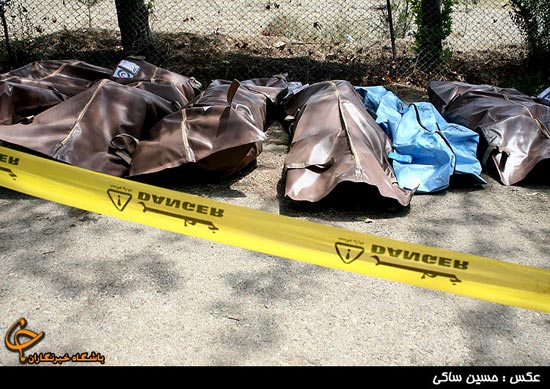 عکس: قربانیان حادثه «ایران 140» (18+)