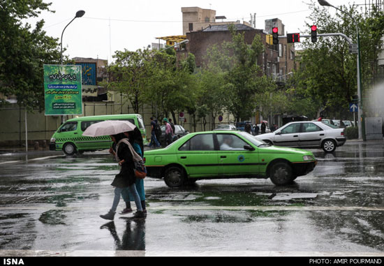 بارش باران بهاری - تهران