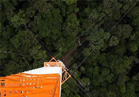 برج هواشناسی بزرگترین جنگل جهان+تصاویر