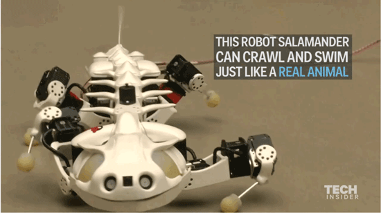 11 رباتی که شبیه به حیوانات و حشره ها طراحی شده اند