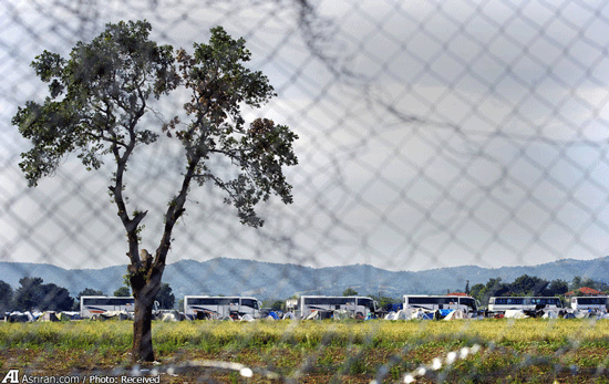 تخلیه کمپ پناهجویان در مرز یونان +عکس