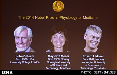 برندگان نوبل پزشکی 2014 معرفی شدند