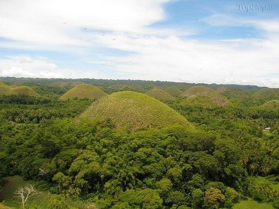 تپه های شکلاتی در فیلیپین +عکس