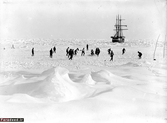 تصاویر/ مرگ و زندگی در سرزمین یخ‌ها
