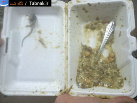 ماجرای موش در غذای دانشگاه +عکس