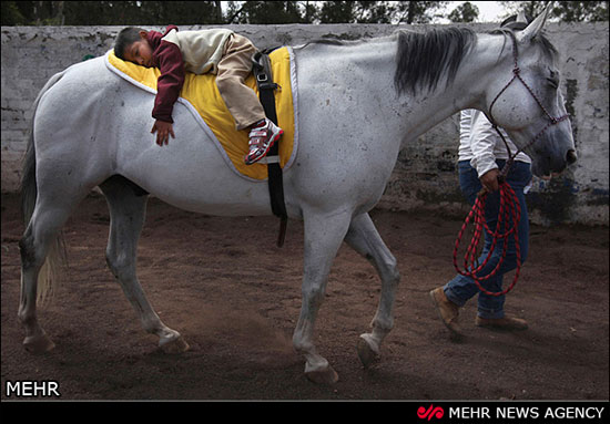 اسب در فرهنگ مکزیک
