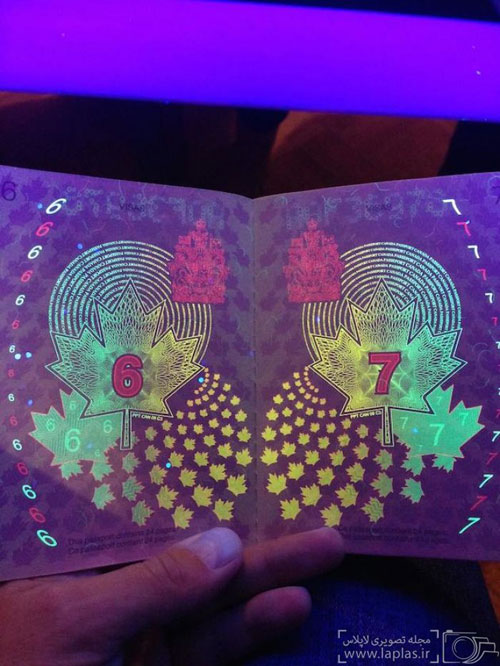 پاسپورت های جدید و جالب کانادایی!