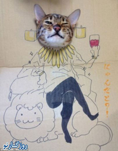 هنرمندی متفاوت با سر گربه! +عکس