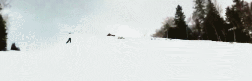 تصویر متحرک: اسکی هماهنگ واقعاً زیبا