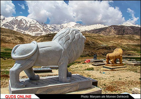 شیر در قبرستان/گزارش تصویری