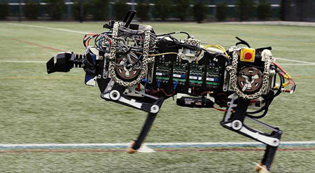 اخبار , اخبار علمی , سریعترین ربات‌های جهان