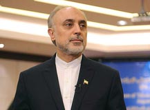 علی اکبر صالحی,سازمان انرژی اتمی