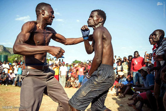 عکس/ کسب افتخار مردان قبیله وندا با مشت‌زنی