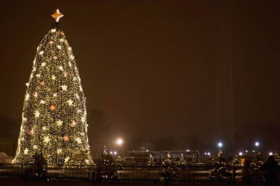 جشن کریسمس در کشورهای مختلف اروپایی چه تفاوت‌هایی دارد؟/ از خوراک بوقلمون تا سالاد اختاپوس