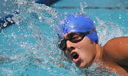 در نشست فدراسیون جهانی میزبانی مسابقان جهانی 2013 شنا به اسپانیا رسید