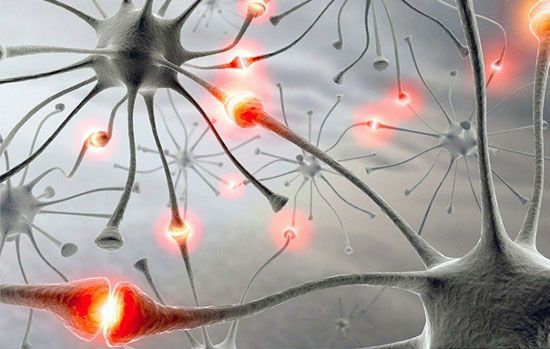 آلزایمر؛ نتیجه‌ی اشتباه سیستم ایمنی در نابودی ارتباطات عصبی