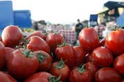 گوجه‌فرنگی كیلویی ۳ هزار تومان؛شکسته شدن قیمت تا هفته آینده