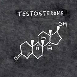 تستوسترون, علل کاهش تستوسترون, یائسگی مردان