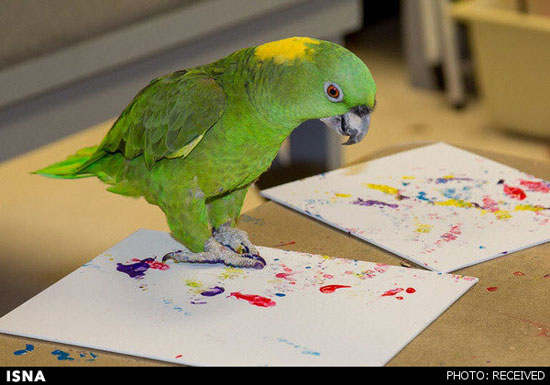 حیواناتی که نقاشی می‌کشند