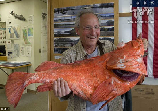 صید ماهی 200 ساله 18 کیلویی! +عکس
