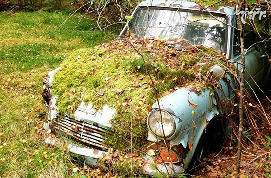 مردی که بعد از 40 سال ماشینش را در جنگل پیدا می کند.