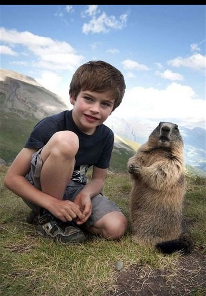 دوستی سنجاب‌های کوه‌های آلپ با پسربچه اتریشی+ عکس