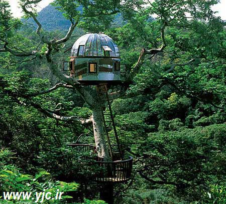 جالب ترین خانه درختی های دنیا