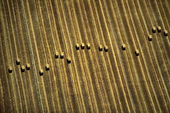 تصاویر هوایی دیدنی از مزارع كشاورزی +عکس
