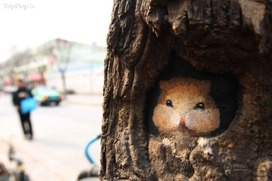 تبدیل گودی درختان به آثار هنری +عکس