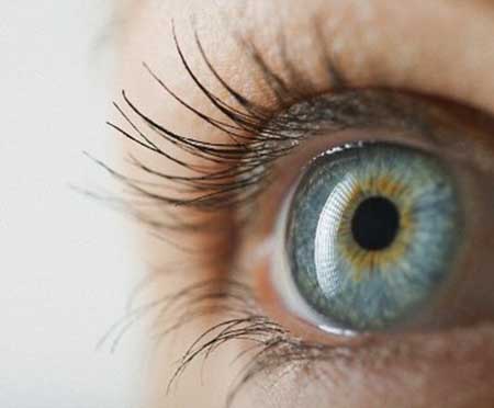تلاش محققان آمریکایی برای بازگشت بینایی با استفاده از جلبک