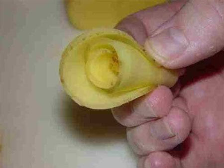 آموزش تصویری: تزیین سیب زمینی به شکل گل رز