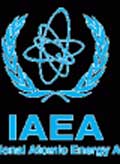 آژانس بین المللی انرژی اتمی , دانشمندان هسته ای , برنامه هسته ای 