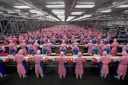 کارخانه بسته بندی گوشت مرغ- جیلین، چین