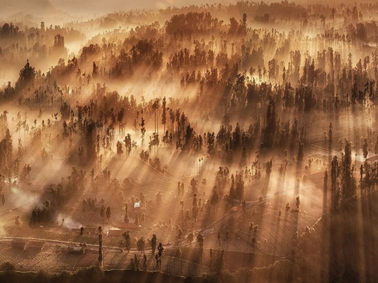 سرزمین سایه‌ها،طلوع آفتاب در جنگل‌های اندونزی/عکس روز نشنال جئوگرافیک