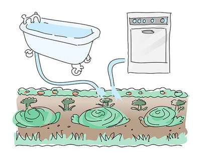 روش صرفه جویی در آب,نحوه صرفه جویی در مصرف آب