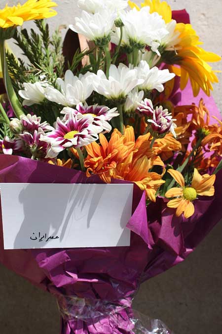 اخبار ,اخبار اجتماعی ,قربانیان حادثه ایران 140